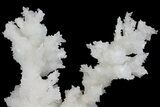 Sparkling Cave Calcite (Aragonite) Formation - Potosi Mine, Mexico #174472-2